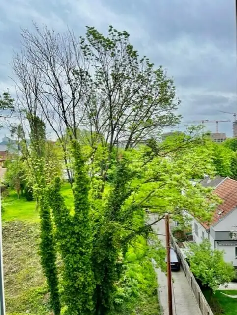 Altbau-Garconniere: Nähe FH-Joanneum im 3.OG ohne Lift - ab 1.12. beziehbar