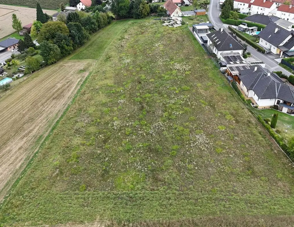 Wohnprojekt für 9 Bauplätze in sonniger Aussichtslage (jeweils zw. 670-730m²)