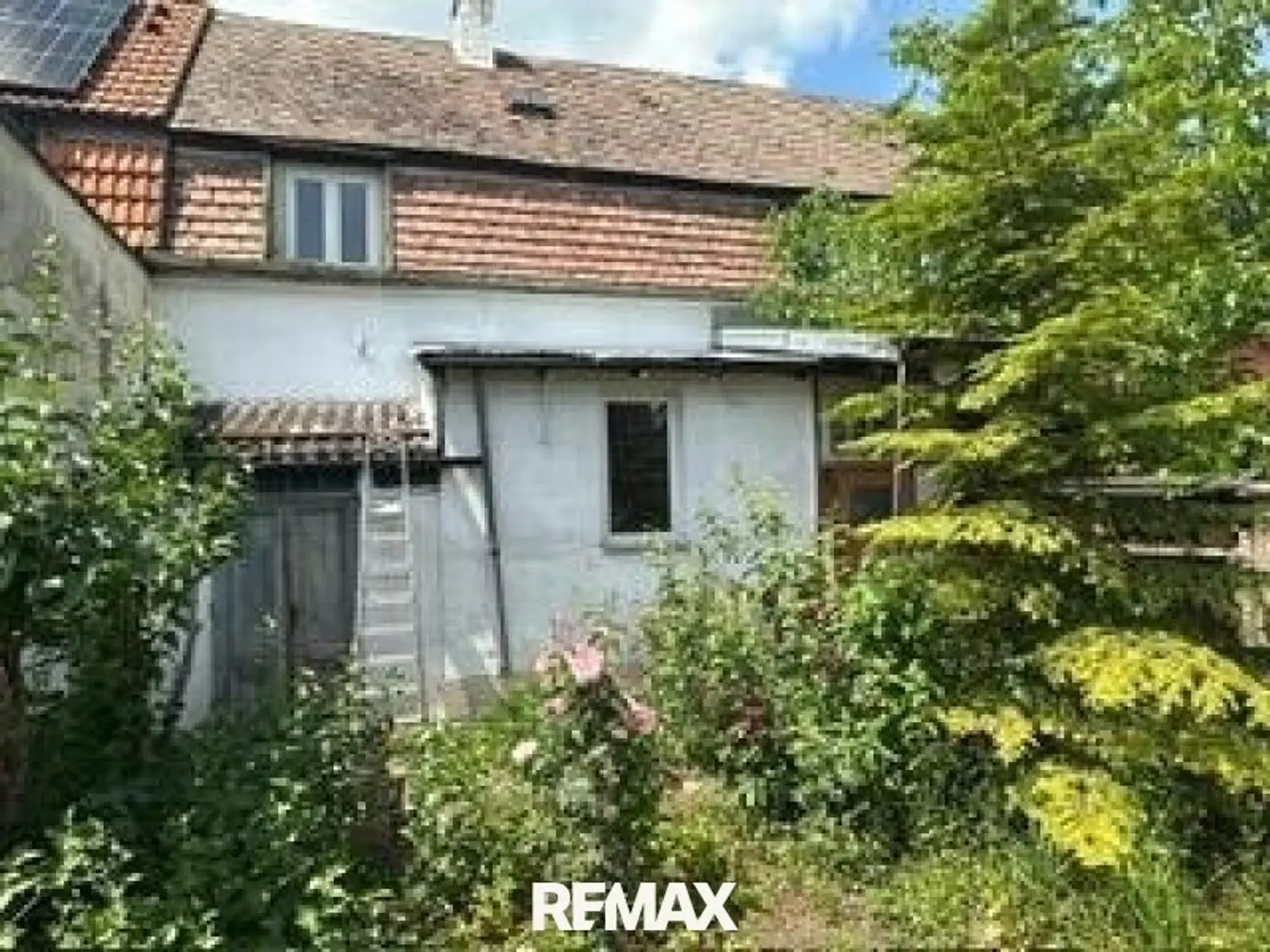 10 Garten