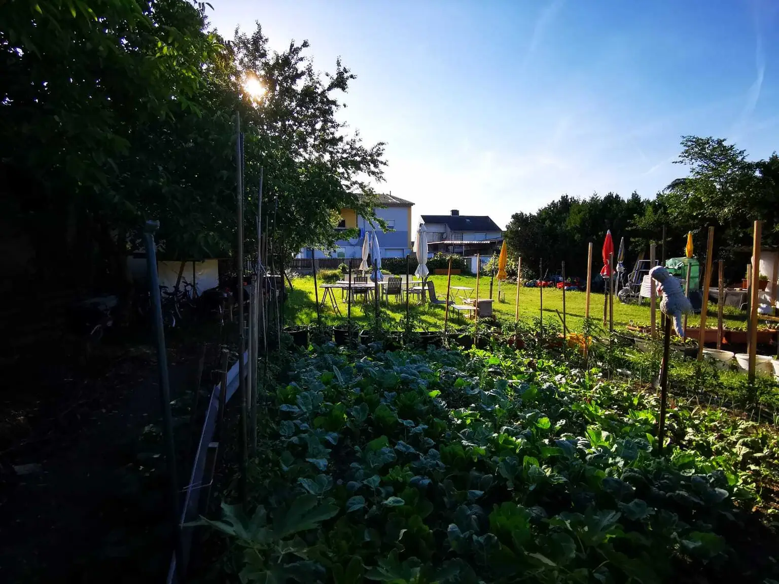 Platz für Ihr Traumhaus - sonniges Baugrundstück in ruhiger Lage!