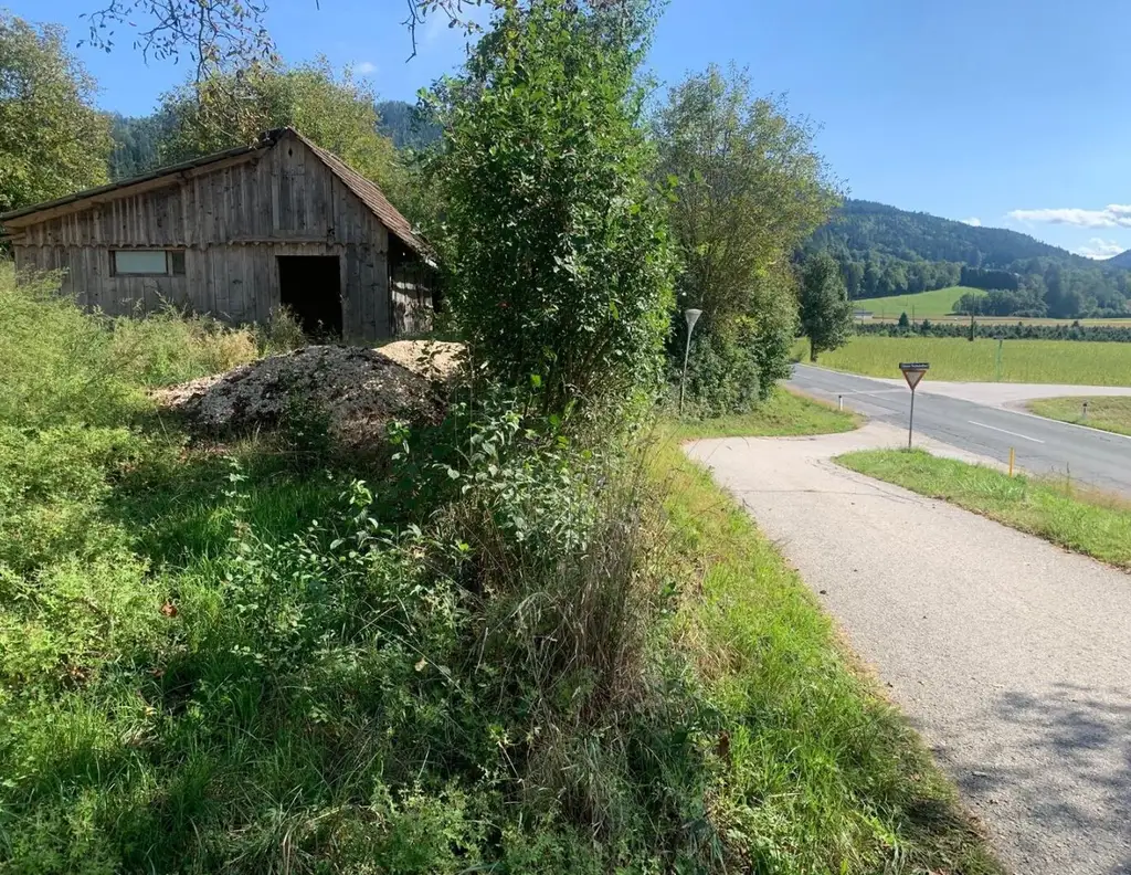 St Veit / St Donat : 2,7 Ha Land- und Forstw. -Grundstück mit Widmungpotenzial , zzt Pferde Weide mit Stall & Quelle, in traumhafter Lage in Kärnten - für 349.000,00 € zu haben!