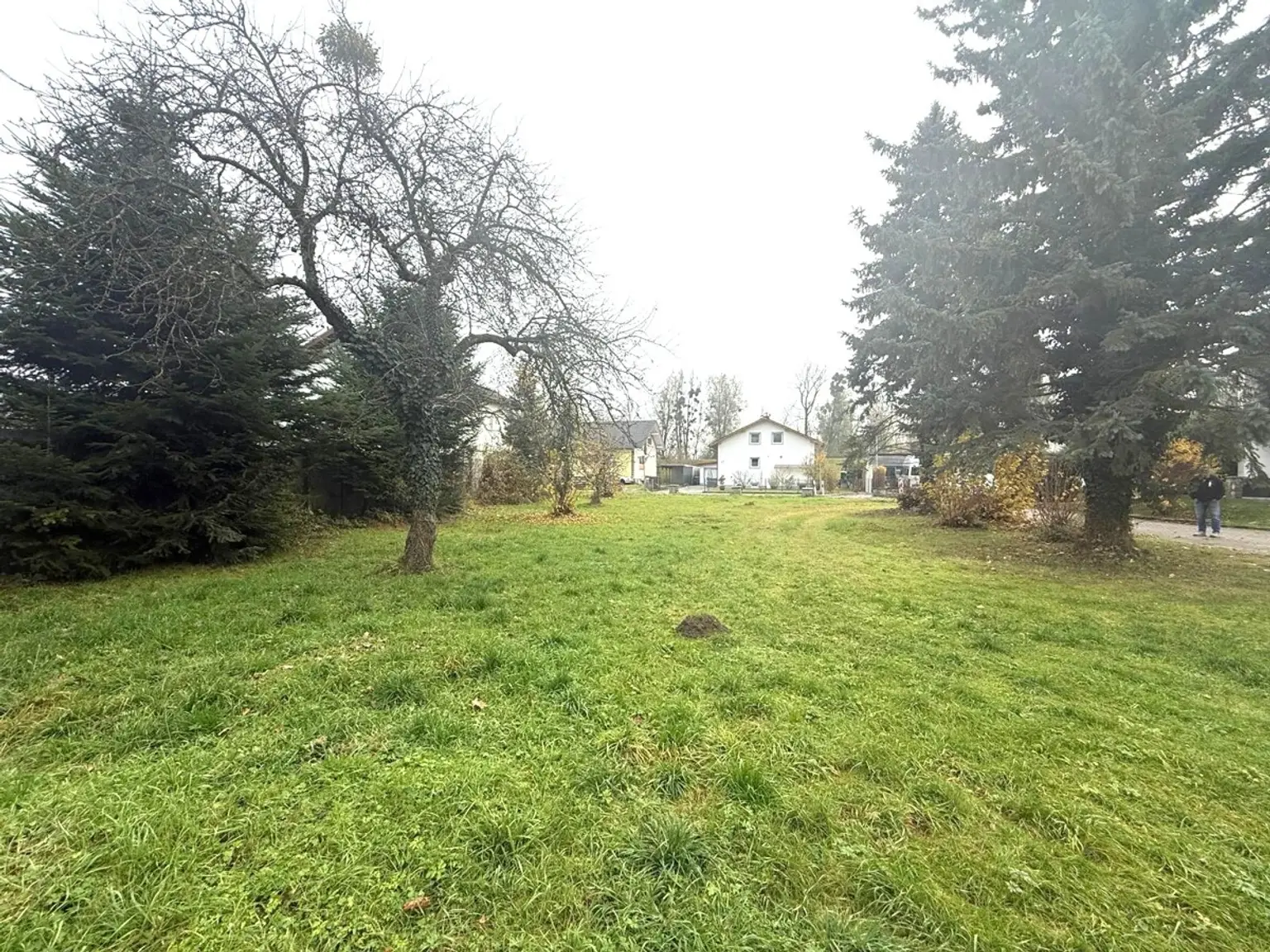 WhatsApp Bild 2025-11-17 um 09.49.09_122a6f20