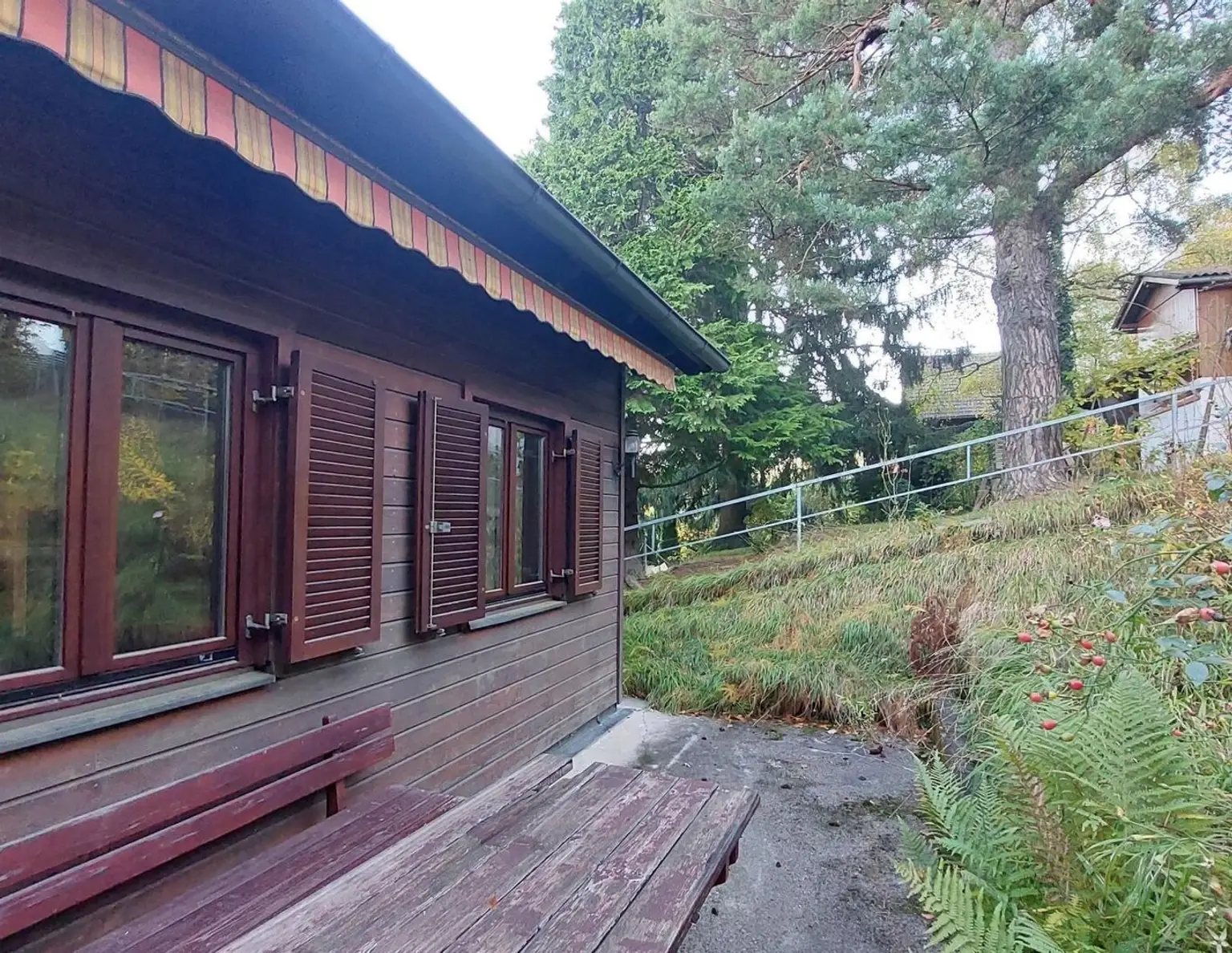 NEUER PREIS! Ausbaufähiges Holzhaus in Grünlage!