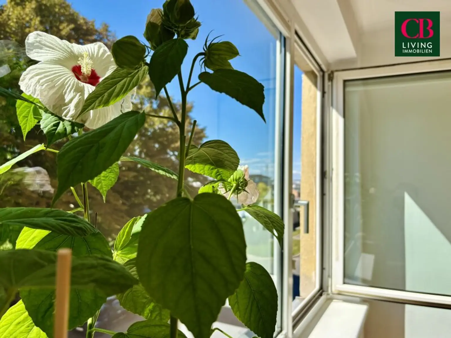 Sonnige 4-Zimmer-Wohnung nahe Alte Donau – viel Platz und ein tolles Freizeitangebot 🌞