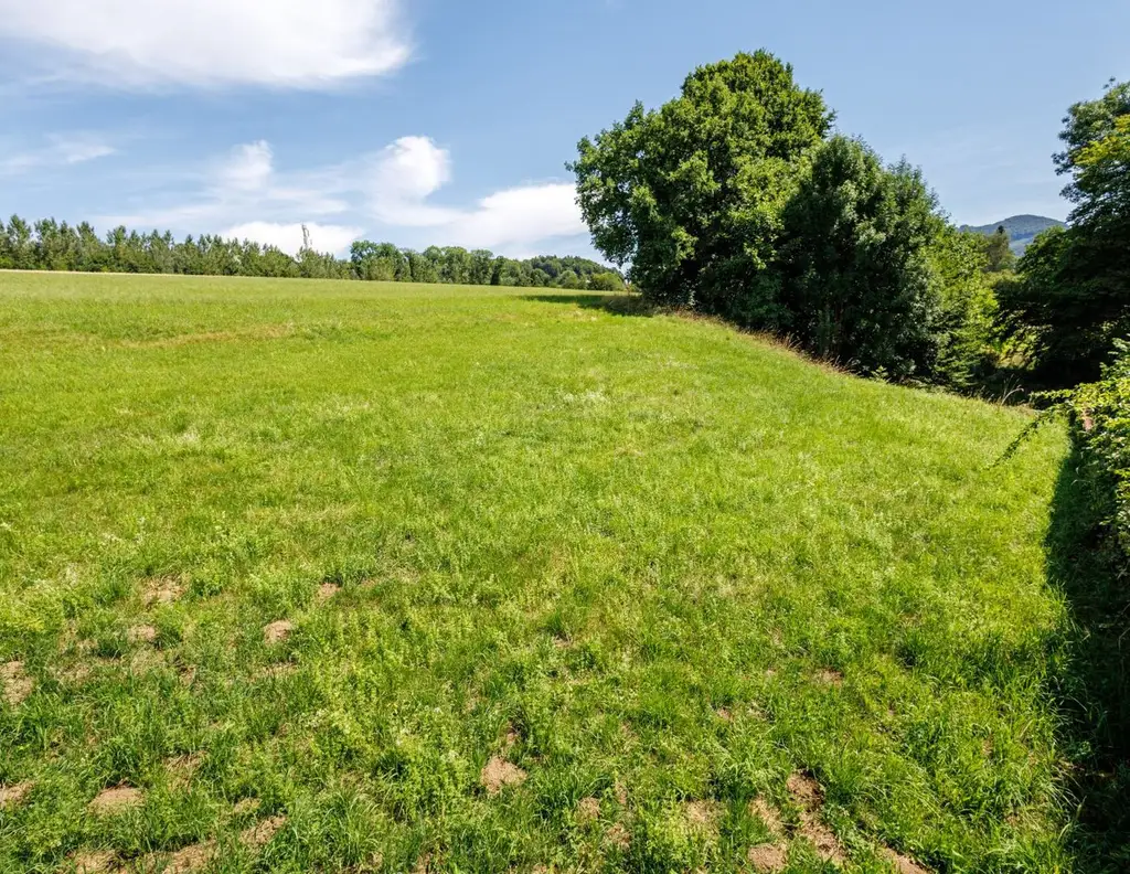 Aus 1 mach 2: teilbares Baugrundstück in sonniger Naturlage, Salzburg - Itzling