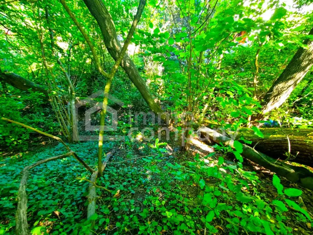 Großes Baugrundstück mit Altbestand vor den Toren Wiens. Bauträger aufgepasst! 1.000 m² bebaubare Fläche