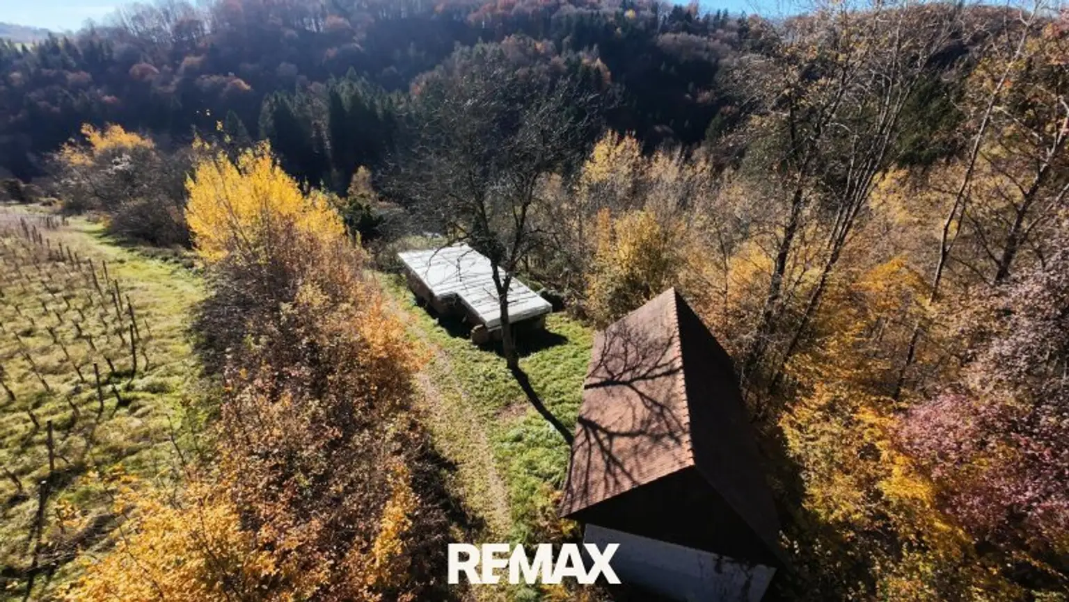 Altbestand und Nebengebäude 2