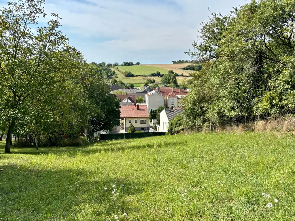 Einfamilienhaus mit großem Grund