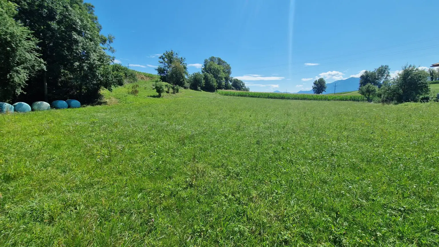 Traumhaftes, ca. 3.109 m² großes Baugrundstück mit Blick auf die Karawanken im Bezirk Völkermarkt