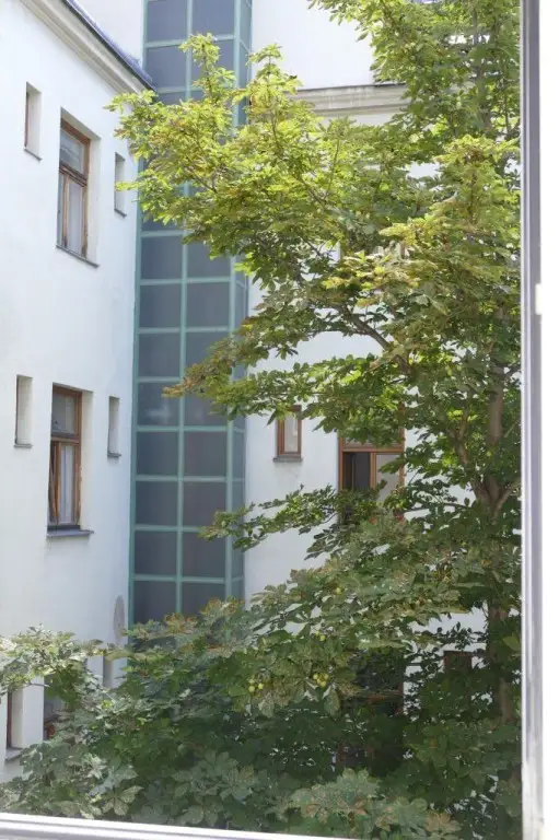 Zentral begehbar, charmante Ideal-Single-Student- Mietwohnung.