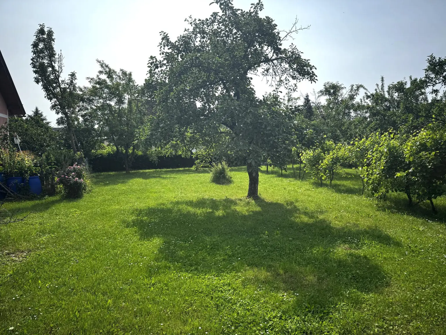 schönes ebenes Baugrundstück