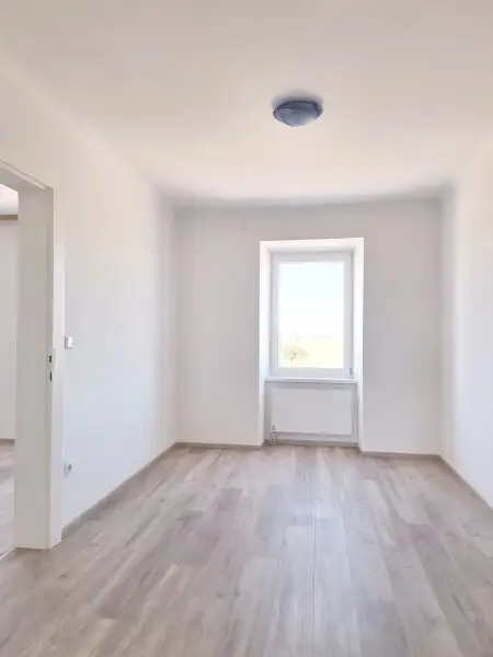 Sanierte  4 Zimmer Wohnung im Haus mit einem großen Garten