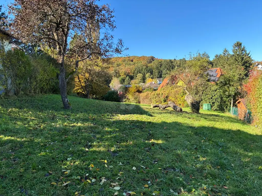 HERRLICH MIT BERG- UND WALDBLICK