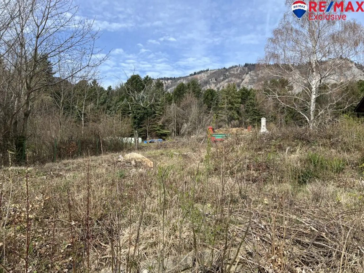 Der Hohen Wand und dem Schneeberg so nah! Sanierungsbedürftiges Einfamilienhaus mit Garten und Garage!
