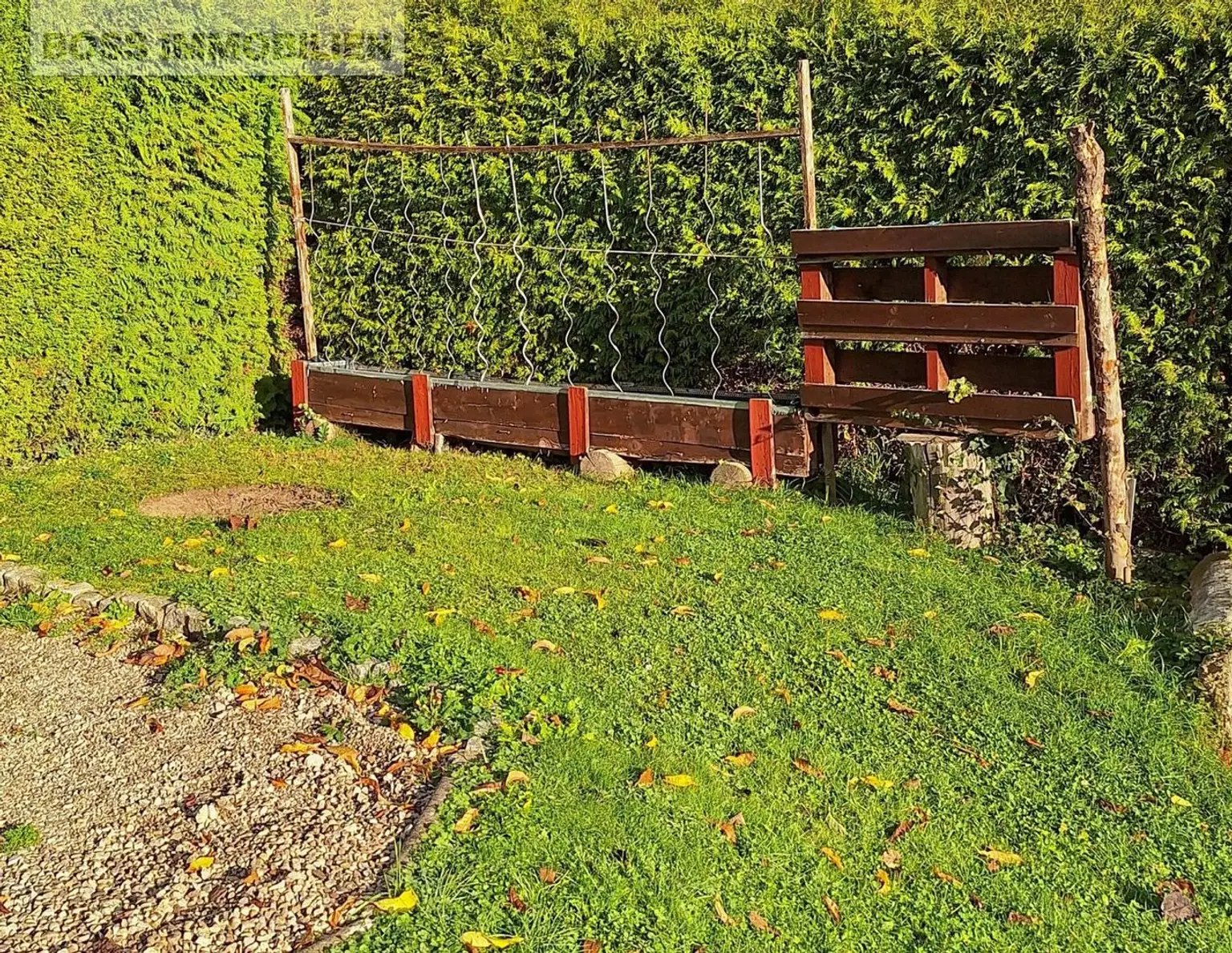 Naturnahes Paradies | Schrebergarten mit Gartenhütte
