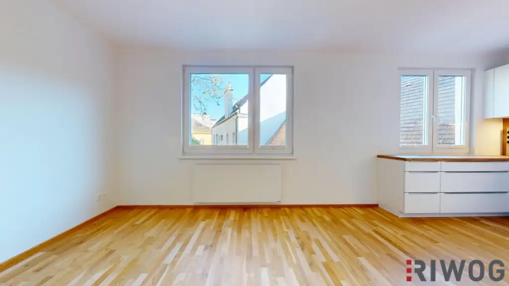 ERSTBEZUG nach Sanierung I Großzügige 2 Zimmer Wohnung mit Ausblick ins Grüne I inkl. Tischlerküche mit Siemens Geräten I Alte Donau Nähe