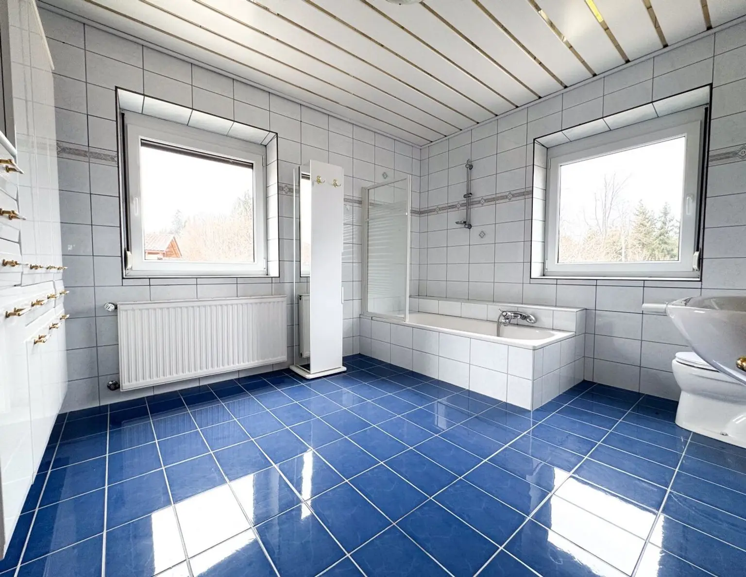 Traumhafte 2/3-Zimmer-Wohnung in Selpritsch mit Garten, Balkon und Garage!