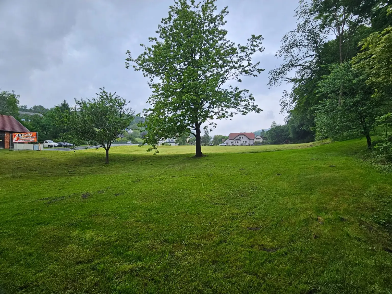 Garten - Wiesenfläche