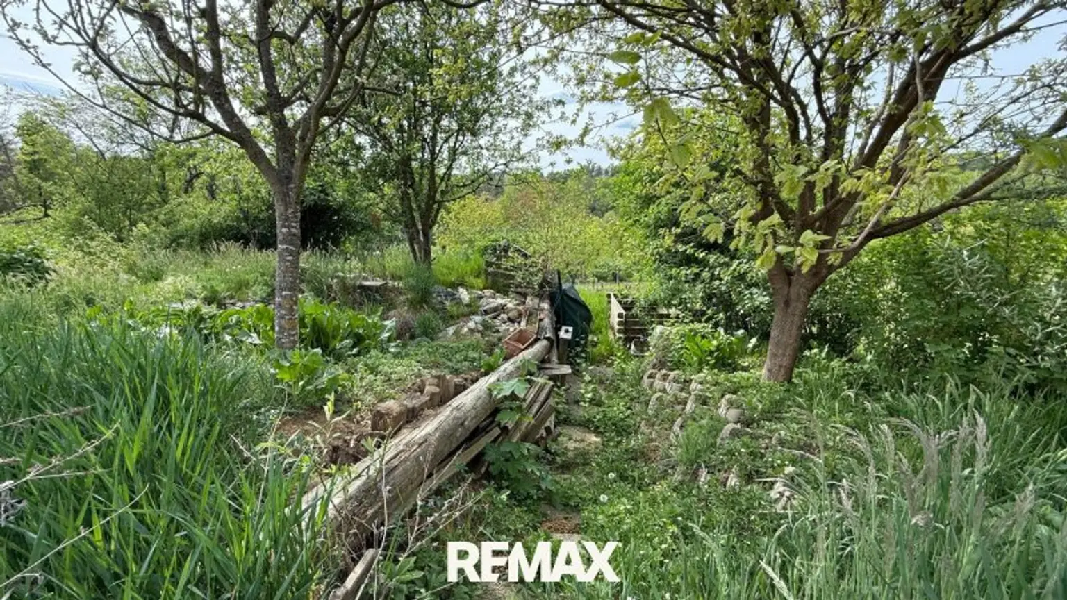 Natur im Garten