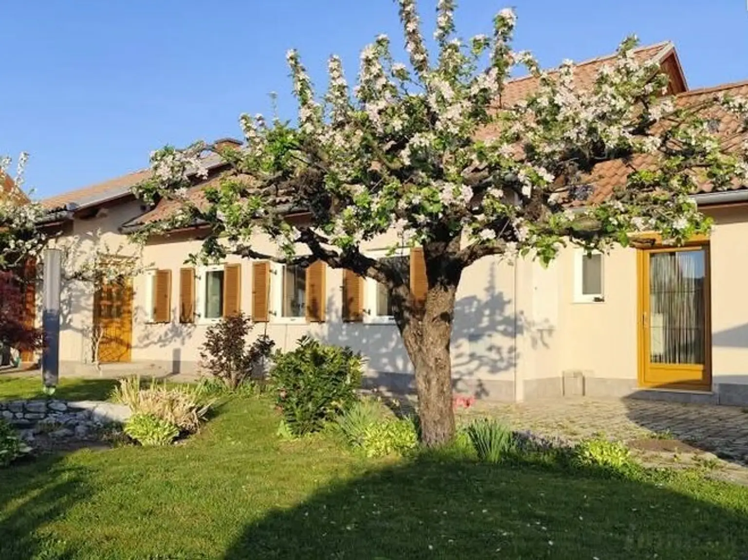 Haus