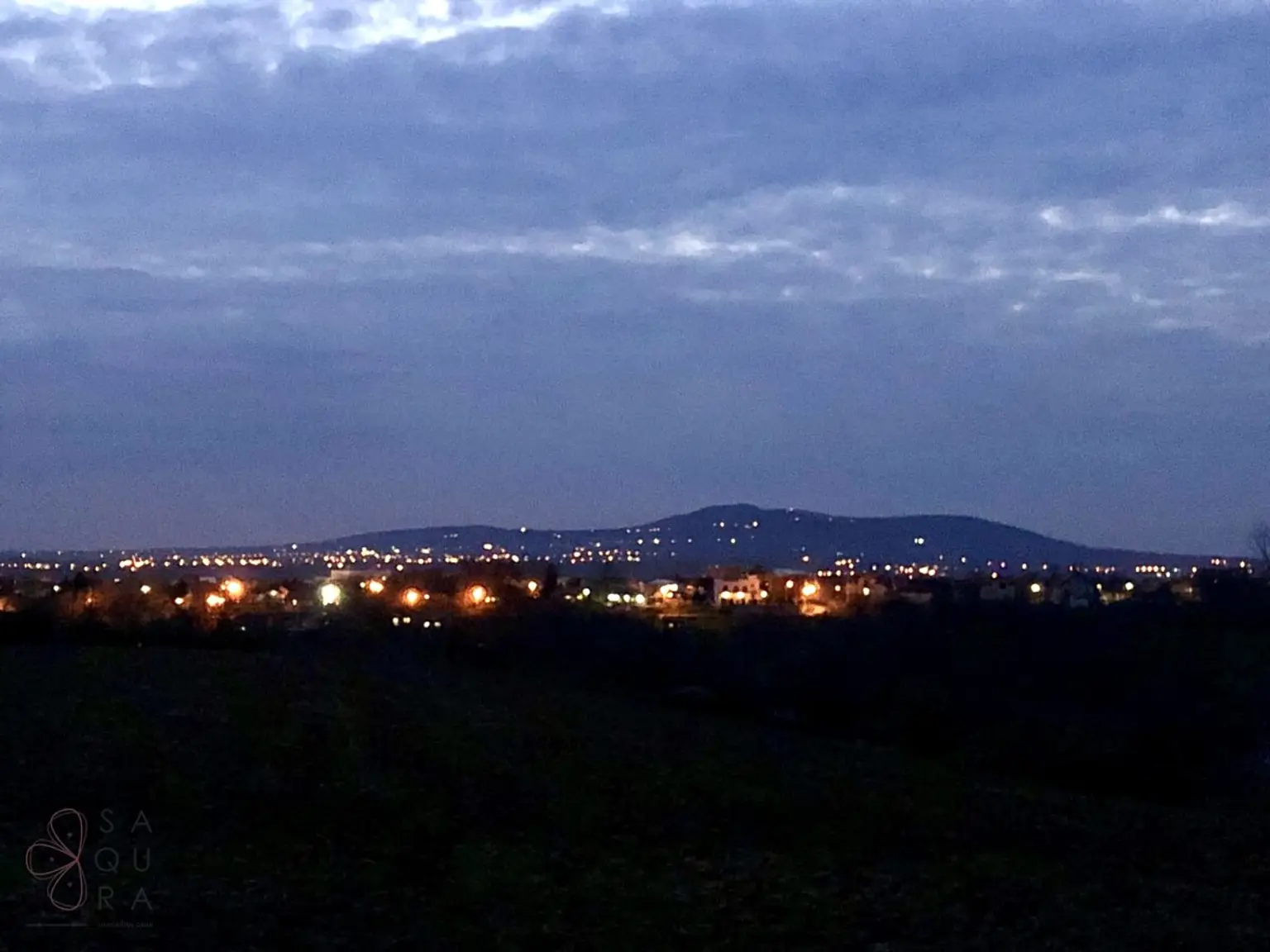 106adf11-3303-483f-a159-fdad7817a8d6