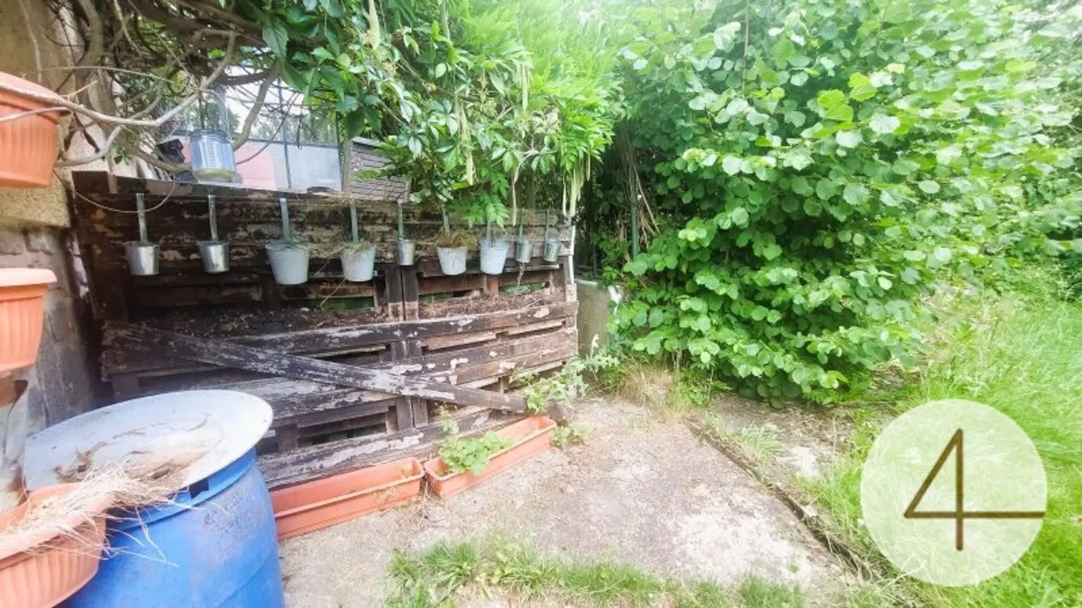 Natur rund ums Haus!