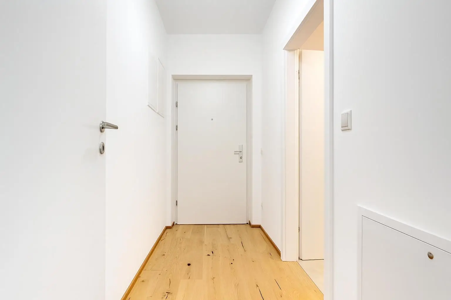 Vorraum - Blick zur Eingangstür