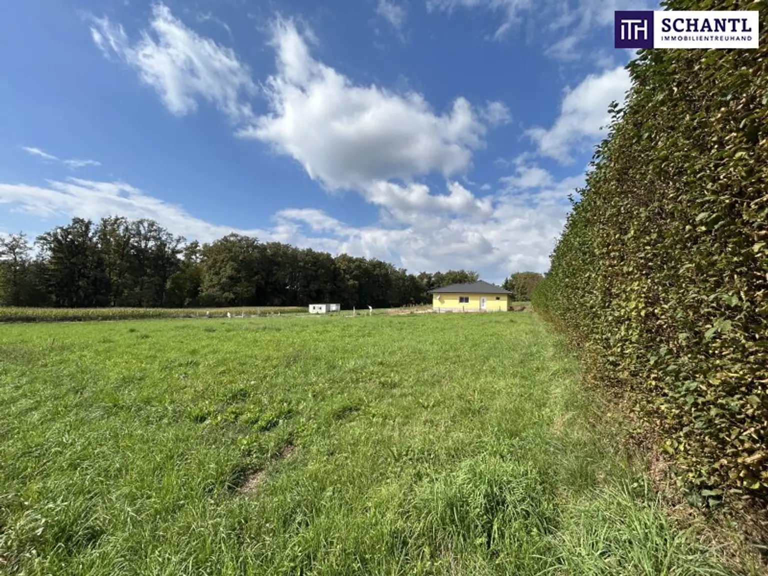 TOP WOHNPROJEKT möglich! IDEAL für BAUTRÄGER! In unmittelbarer Nähe zu den Wundschuher Seen! TOP Anbindung! VOLLERSCHLOSSENES und FLACHES BAUGRUNDSTÜCK!