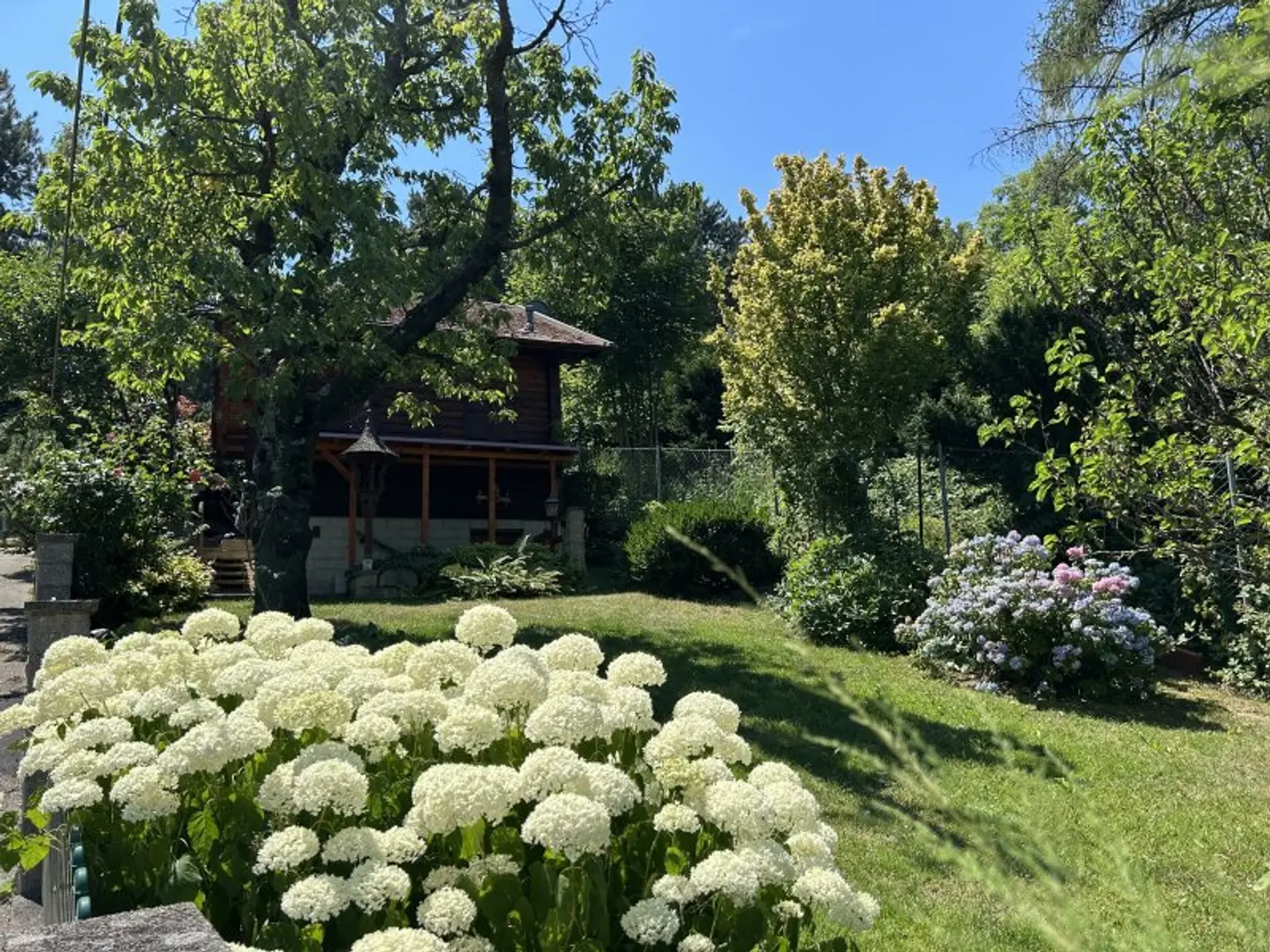 Neustift am Walde + FERNBLICK + RUHELAGE + EIGENGRUND!