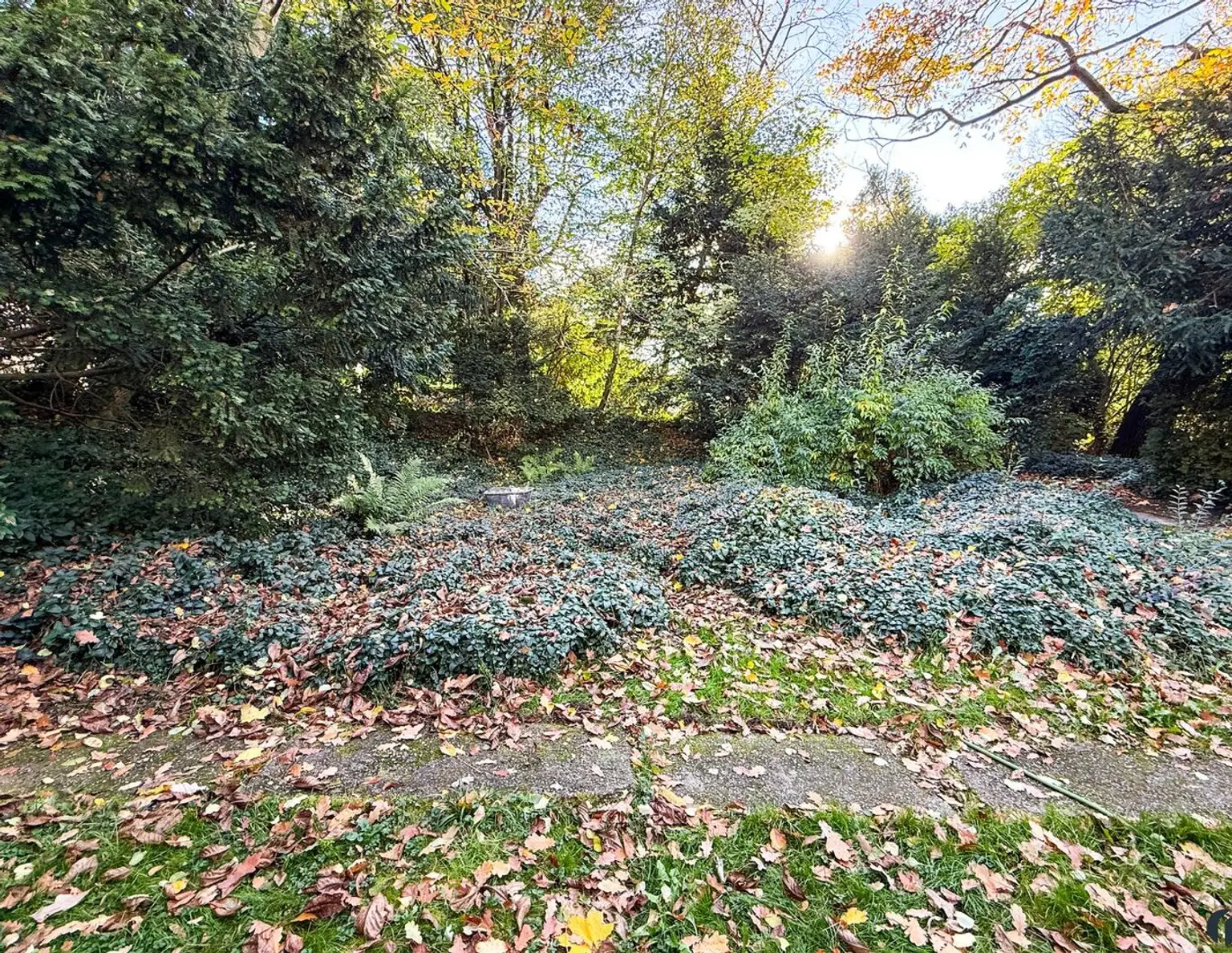 Grundstück mit Potenzial für Ihr Einfamilienhaus in Altenberg