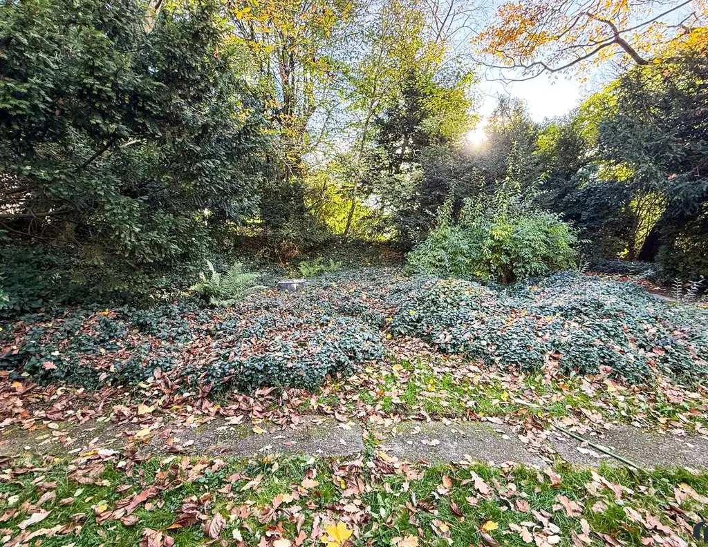 Grundstück mit Potenzial für Ihr Einfamilienhaus in Altenberg
