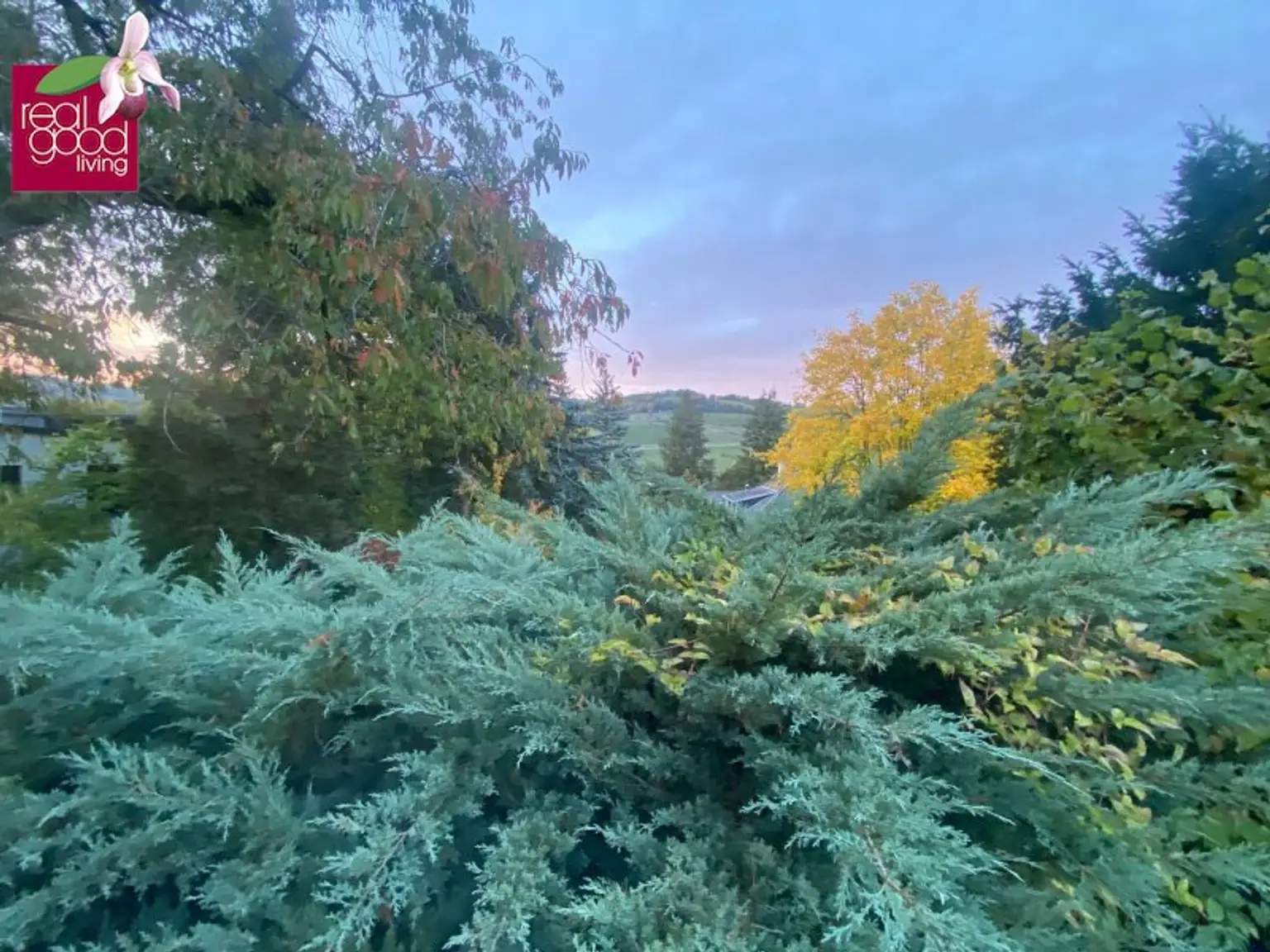 Baugrund in Klosterneuburg – Weidling  1.793 m² Grundstücksfläche | Altbestand vorhanden | teilbar !!