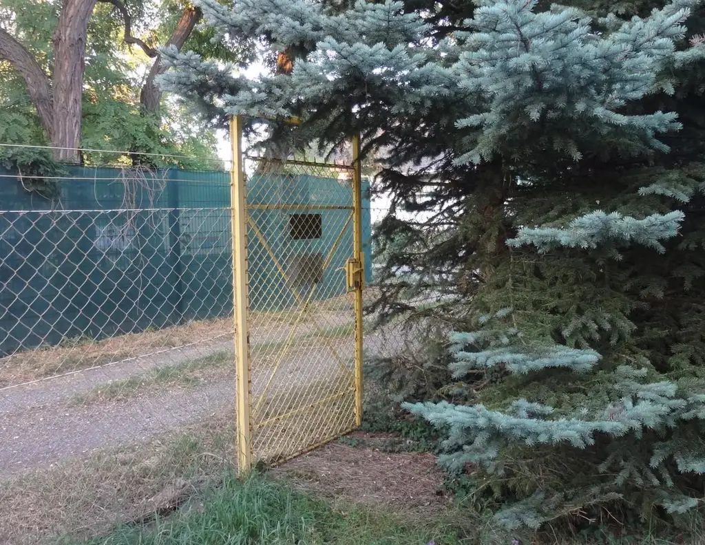Baugrund mit Altbestand im 22. Bezirk, Donaustadt