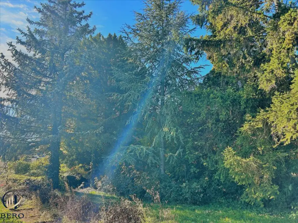 Traumhaftes großes Baugrundstück in Zwentendorf !