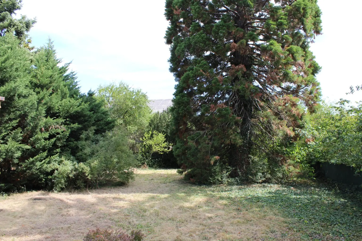 "Bauland mit Altbestand"