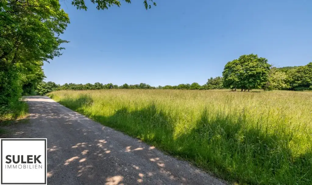 Erstbezug nach Sanierung: Großes Einfamilienhaus in einzigartiger Lage mit Weitblick und vielen Zimmern, Blick ins Grüne und in absoluter Ruhelage