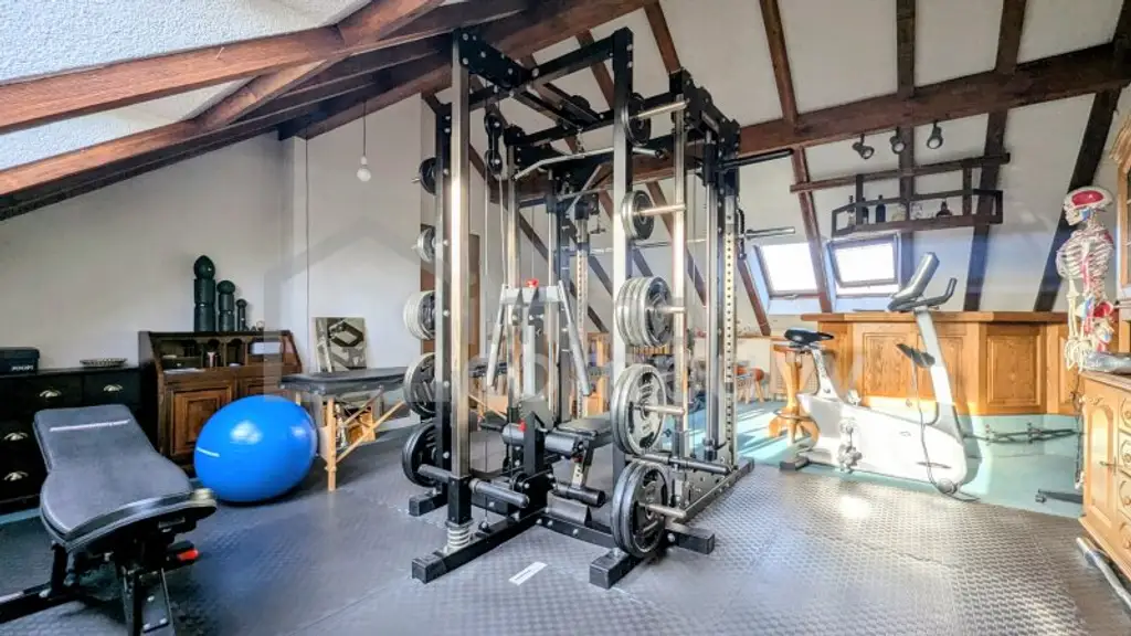 Traumhafte Maisonette-Wohnung in Hard | 120m² Wohnfläche | 4,5 Zimmer | Süd-Ost-Balkon | TG-Stellplatz - Perfekt für Familien!