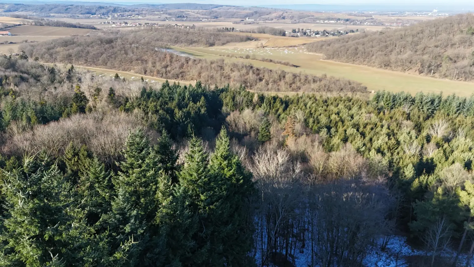 2 Teilansicht Wald und Umgebung