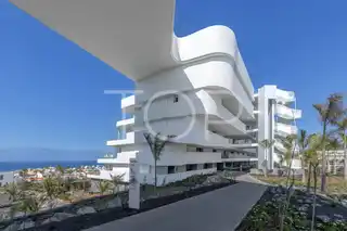 RHCB Adults only (8)