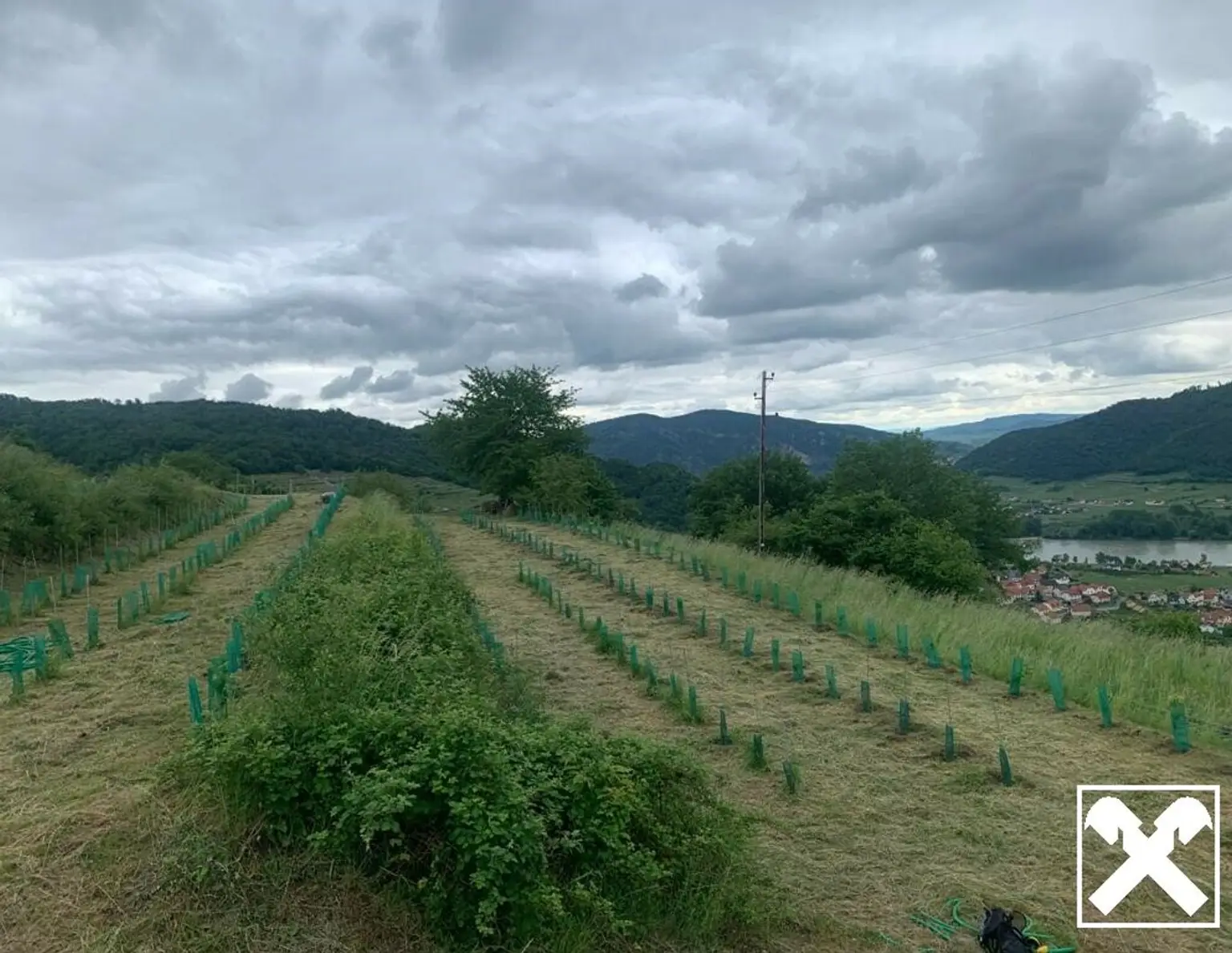 WEINGARTEN IN AUSSICHTSLAGE - WEINGARTEN, LANDWIRTSCHAFTLICHE FLÄCHEN - KEIN BAUGRUNDSTÜCK!