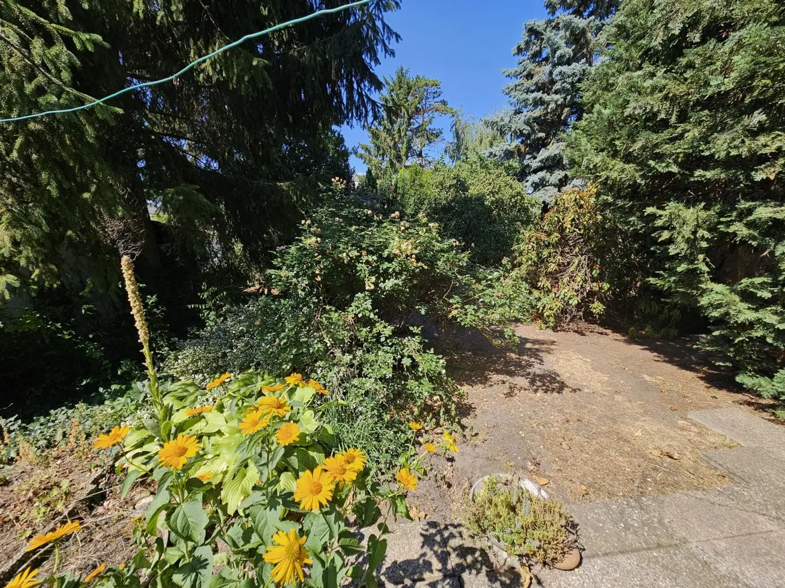 Garten (3)