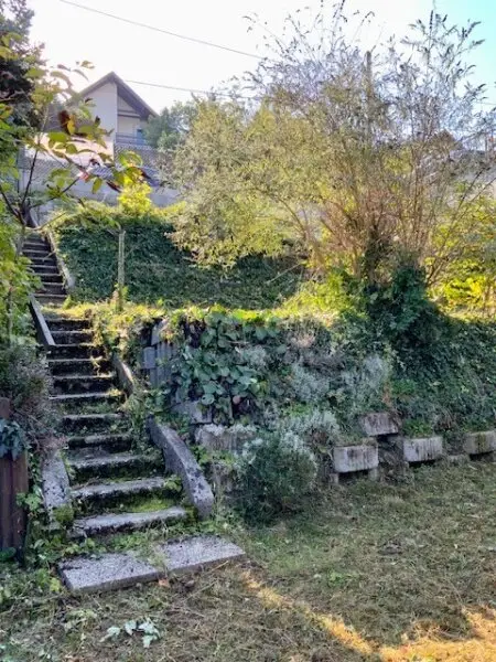 Ihr Sonnengrundstück im begehrten Sachsenviertel