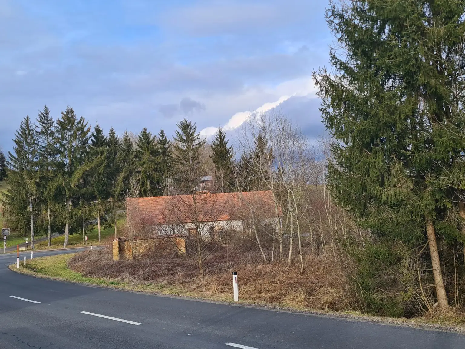 Grundstück mit Altbestand in der Südoststeiermark