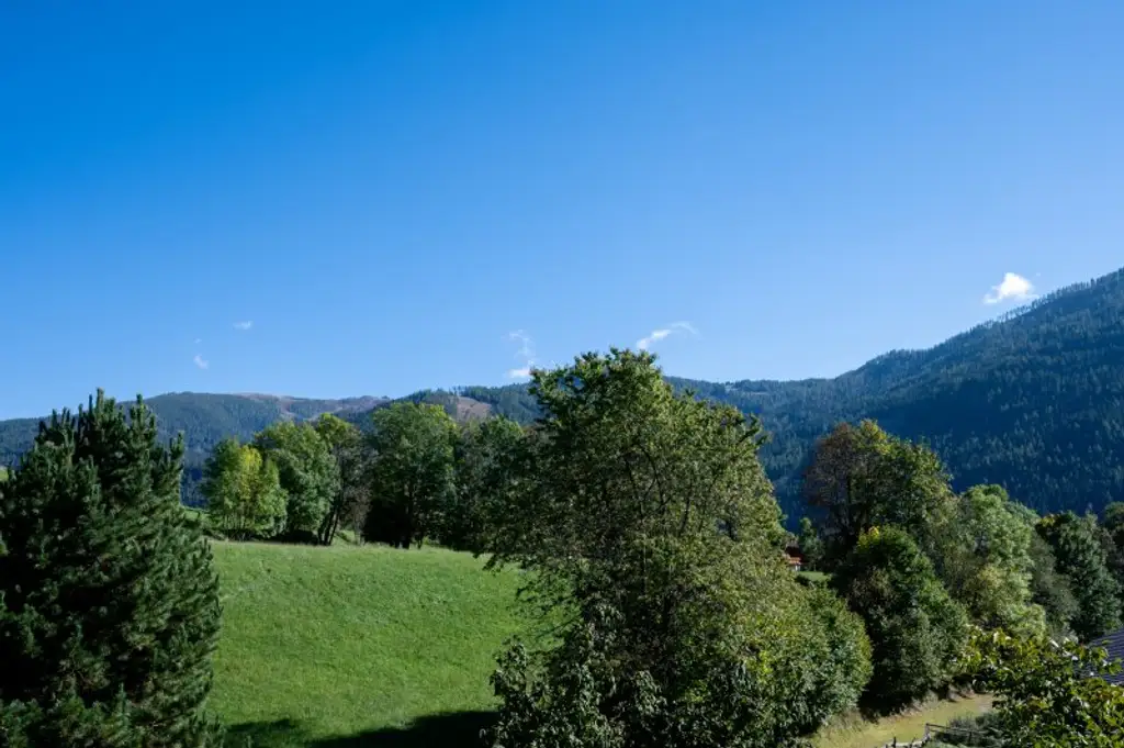 SCHILIFT ZU FUSS | Gemütliche 2-Zimmer-Wohnung mit Balkon in Bad Kleinkirchheim