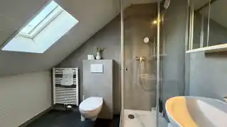 Bad DG