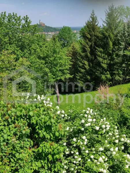 Am beliebten Rosenberg!  Altes Bauernhaus in unverbaubarer, ruhiger, sonniger Lage mit  großem Baulandgrundstück