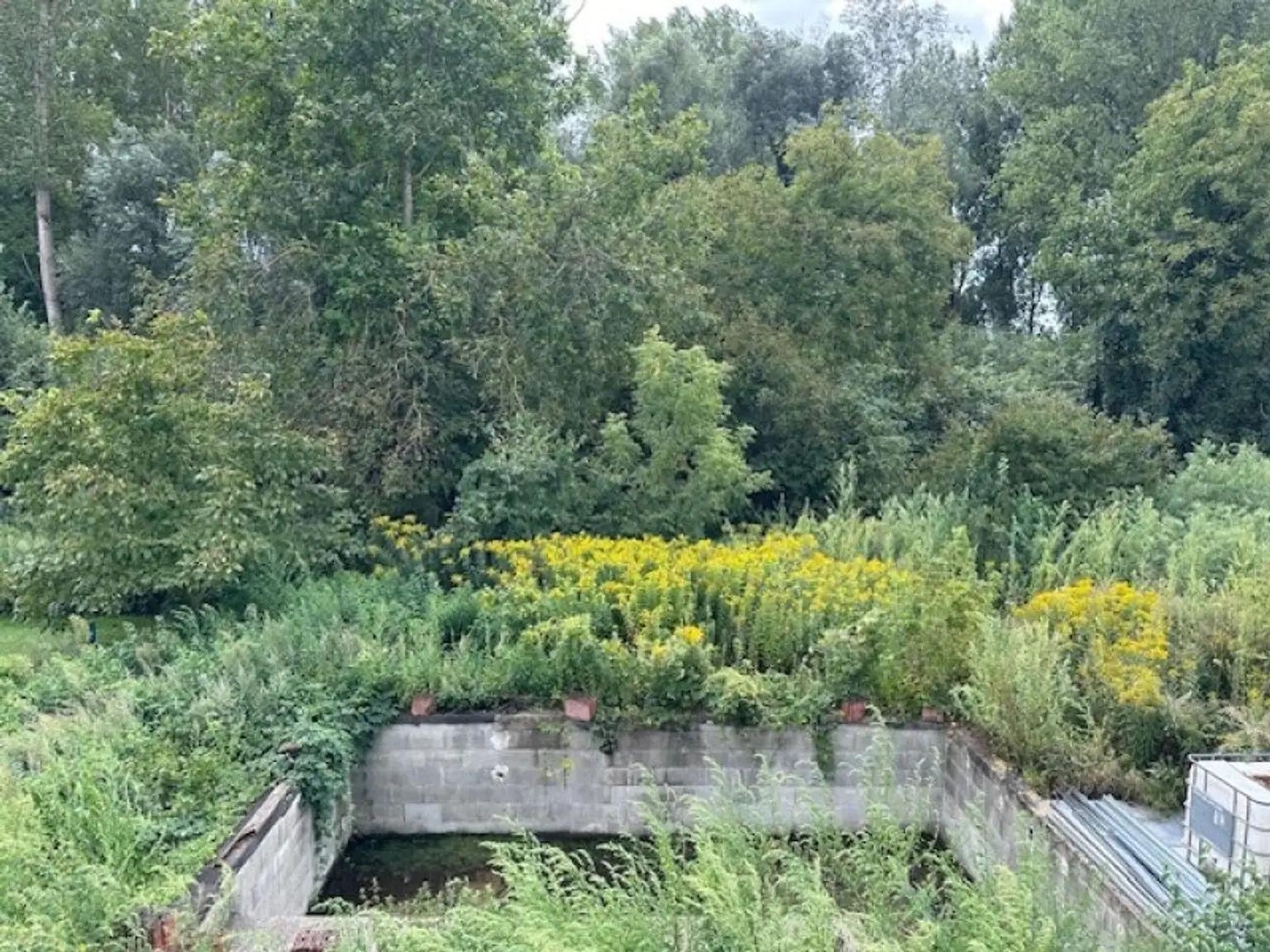 TRAUMHAUS mit POOL am AUWALD mit Blick ins GRÜNE