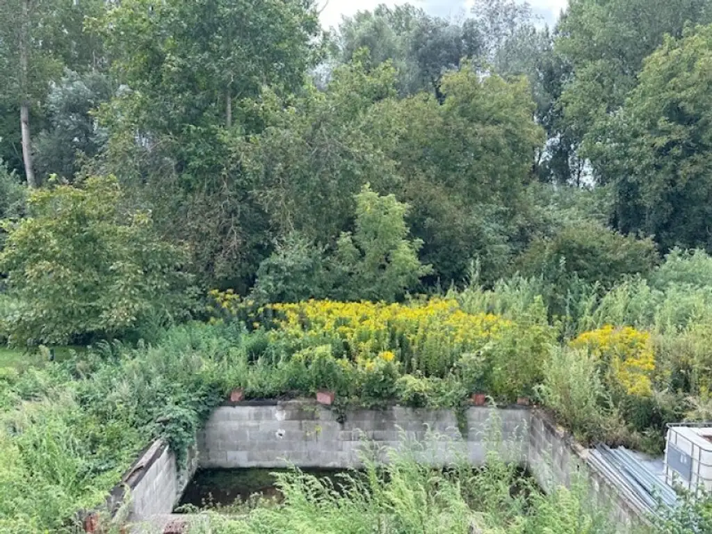 TRAUMHAUS mit POOL am AUWALD mit Blick ins GRÜNE