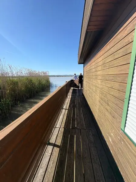 PRIVATSPHÄRE und FLIESSWASSER - FLACHDACHHÜTTE IN DER RUSTER BUCHT AUF PACHTGRUND ZU KAUFEN