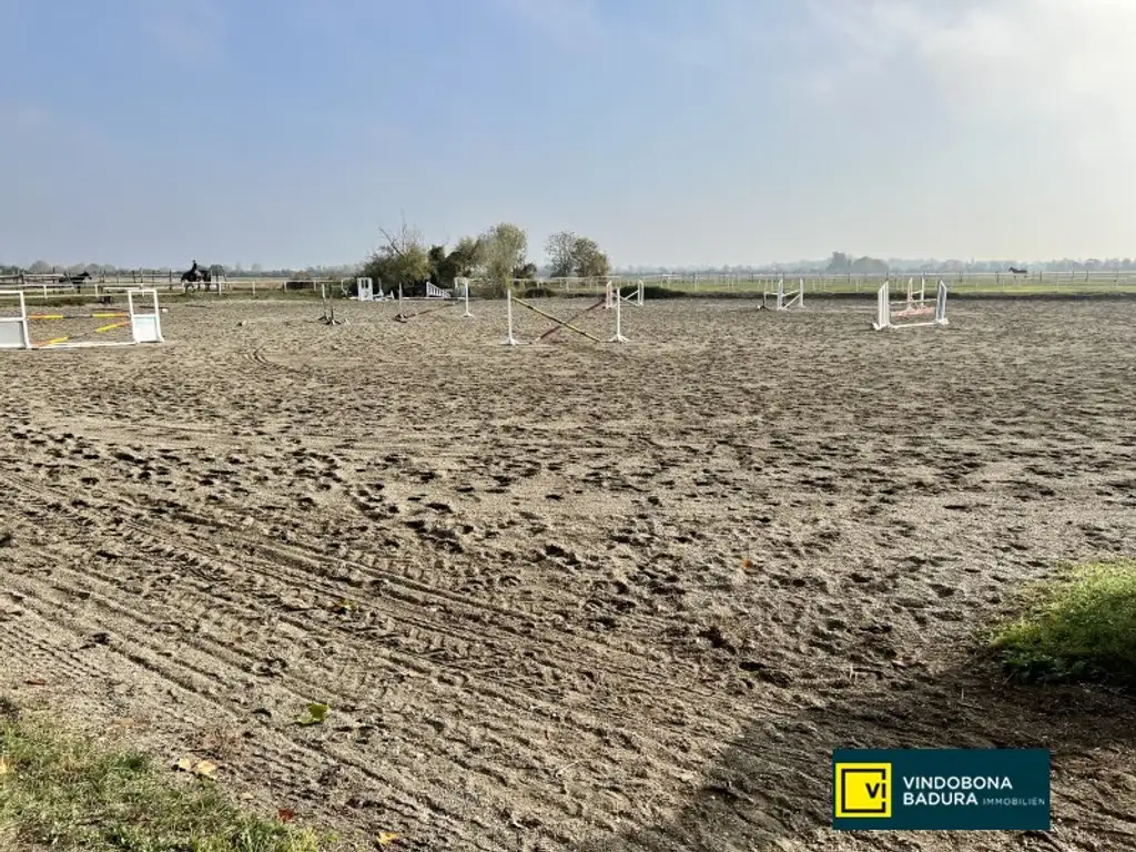 Exklusive Reitsportanlage vor den Toren Wiens – 145 Boxen | Reithallen | Reitplätze | Koppeln | Villa & Personalwohnungen